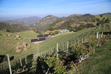 Enlarge photo 18