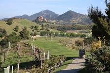 Enlarge photo 19