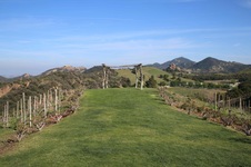 Enlarge photo 21