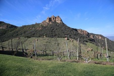 Enlarge photo 24