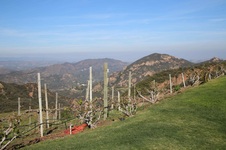 Enlarge photo 25