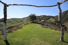 Enlarge photo 30