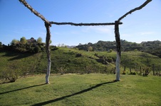 Enlarge photo 32