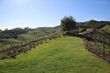 Enlarge photo 33