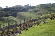 Enlarge photo 34
