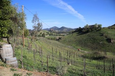 Enlarge photo 37