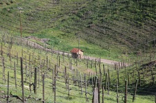 Enlarge photo 38