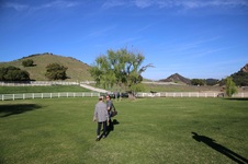 Enlarge photo 39