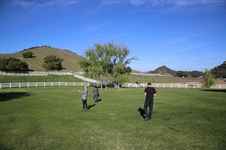 Enlarge photo 40