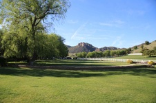 Enlarge photo 41