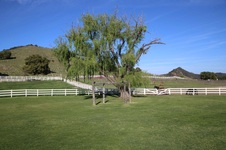 Enlarge photo 42