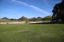 Enlarge photo 43