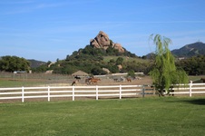 Enlarge photo 45