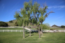 Enlarge photo 46