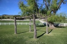 Enlarge photo 47
