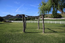 Enlarge photo 48