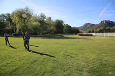 Enlarge photo 49