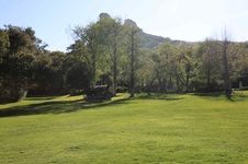 Enlarge photo 51