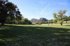 Enlarge photo 52