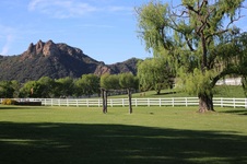 Enlarge photo 53