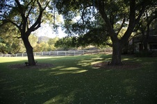 Enlarge photo 55