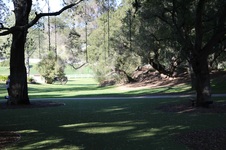 Enlarge photo 58