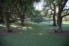 Enlarge photo 59