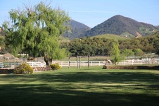 Enlarge photo 60