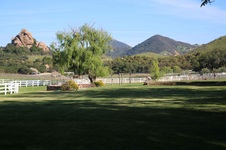 Enlarge photo 61