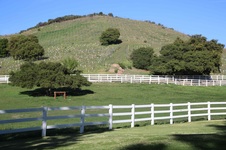 Enlarge photo 62
