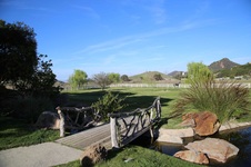 Enlarge photo 63