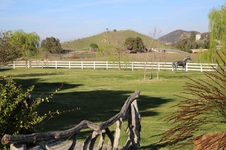 Enlarge photo 64