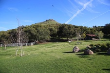 Enlarge photo 65