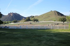 Enlarge photo 70