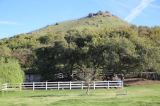 Enlarge photo 75