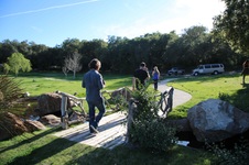Enlarge photo 76