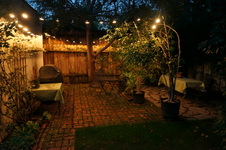 Enlarge photo 41