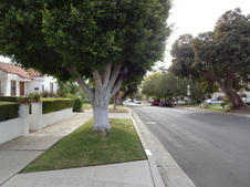 Enlarge photo 32
