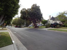 Enlarge photo 33