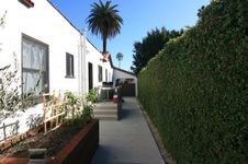 Enlarge photo 43
