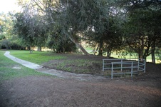 Enlarge photo 15