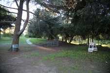 Enlarge photo 18