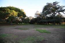 Enlarge photo 24