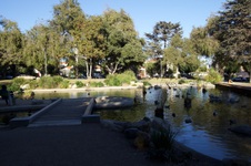 Enlarge photo 25