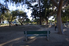Enlarge photo 30