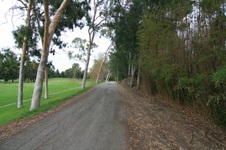 Cheviot Rec