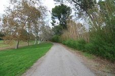 Enlarge photo 19