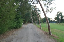 Enlarge photo 26