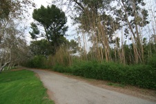 Enlarge photo 28
