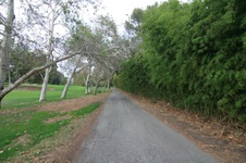Enlarge photo 29